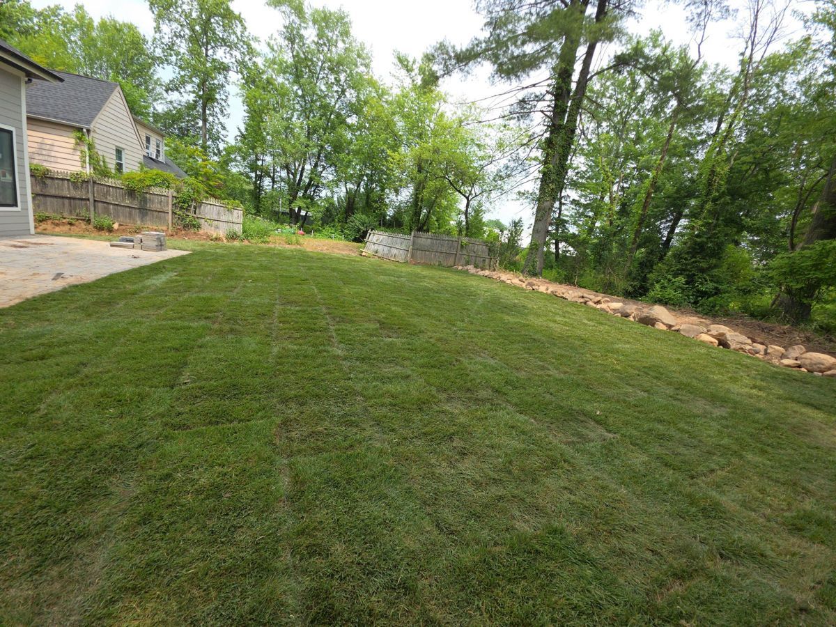 Residential Sod