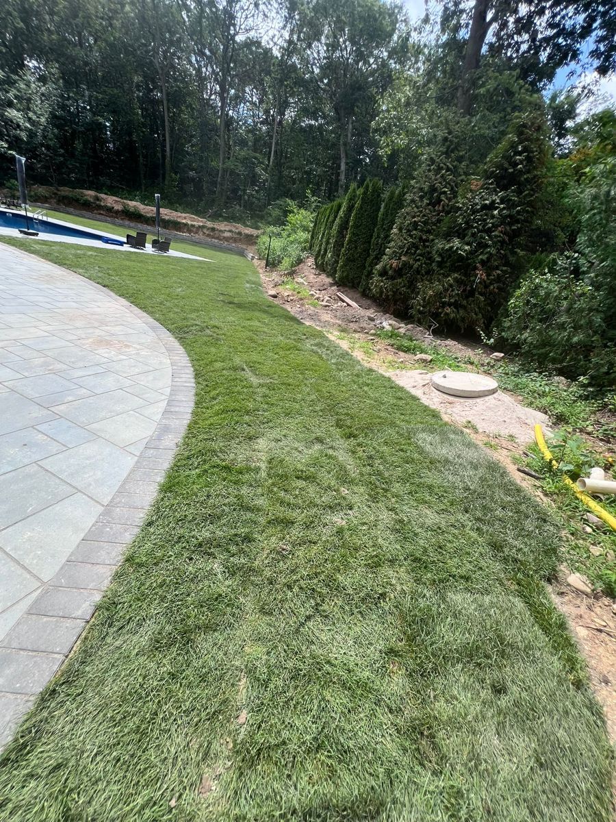 Zoysia Sod